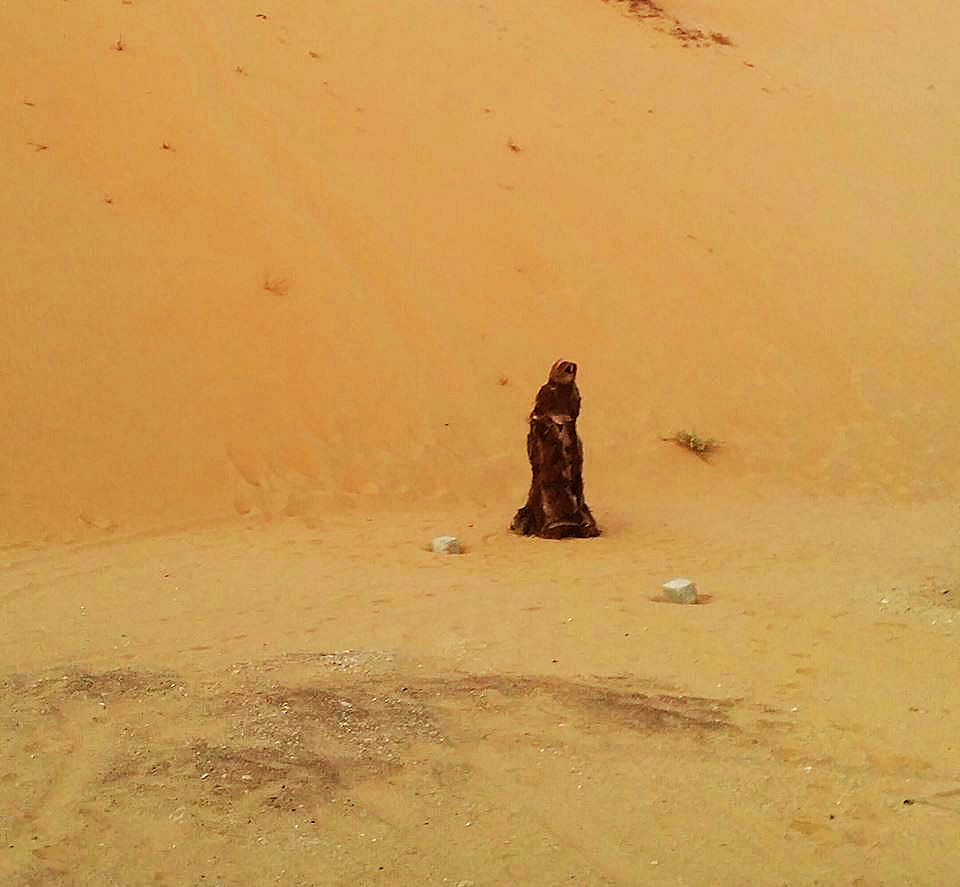 Palm Burka, 2014. Woven Palm tree bark. By Anne Katrine Senstad. 