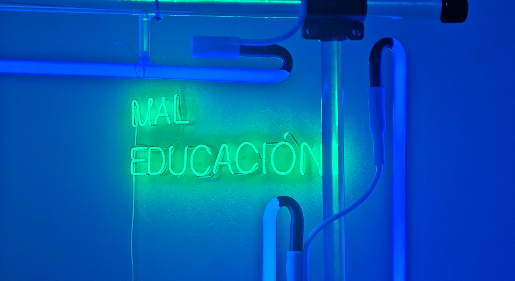 Mal Educacion - The Jaguar in the Mirror, Elza Kayal Gallery